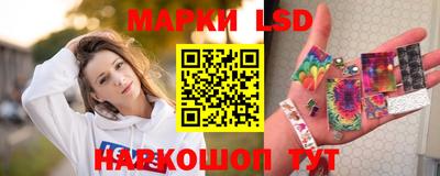 гашик Будённовск
