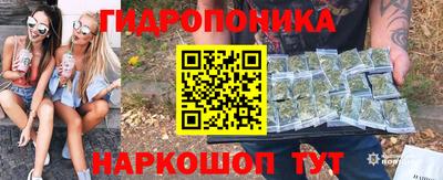 гашик Будённовск