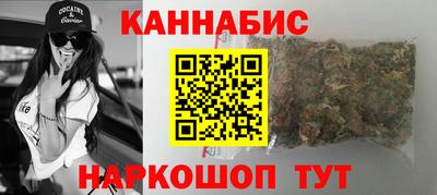 гашик Будённовск